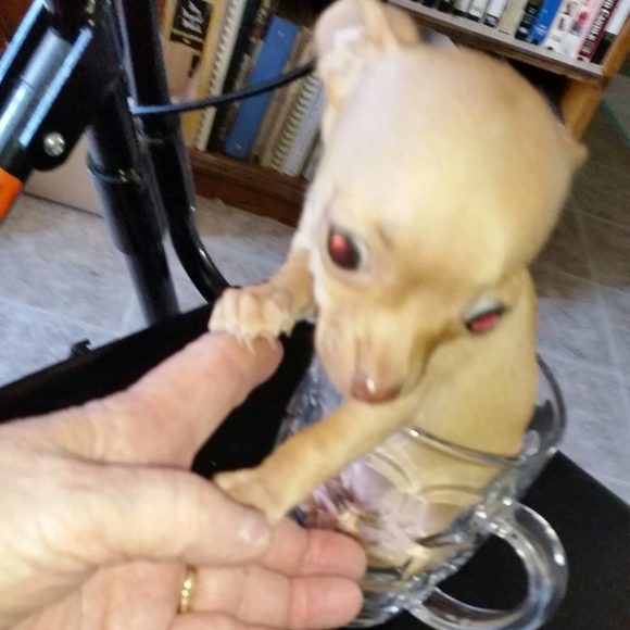 Meet your Posher, Nancy - Picture 1 of 1